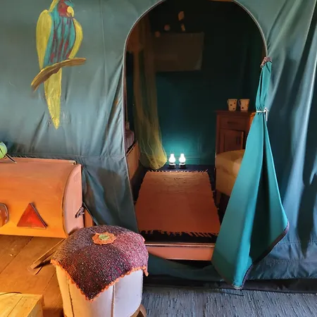 Nomads Glamp Hostel *