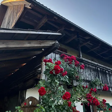 Nomads Village * Bled